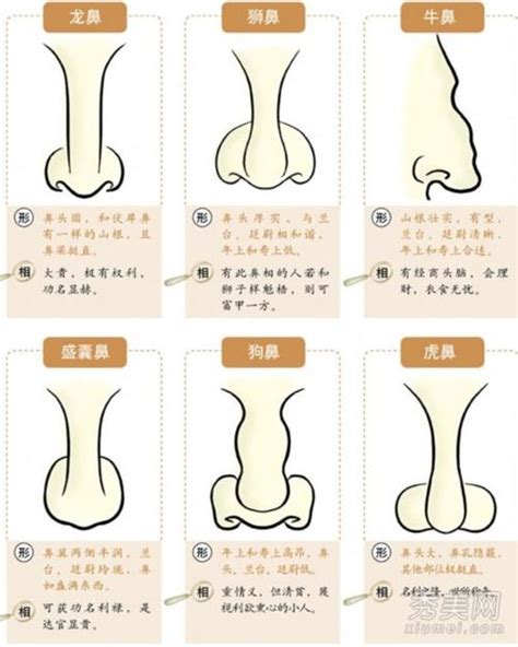 鼻毛太长面相|5种鼻子面相解析，有的人是人中豪杰，有的人一生贫苦